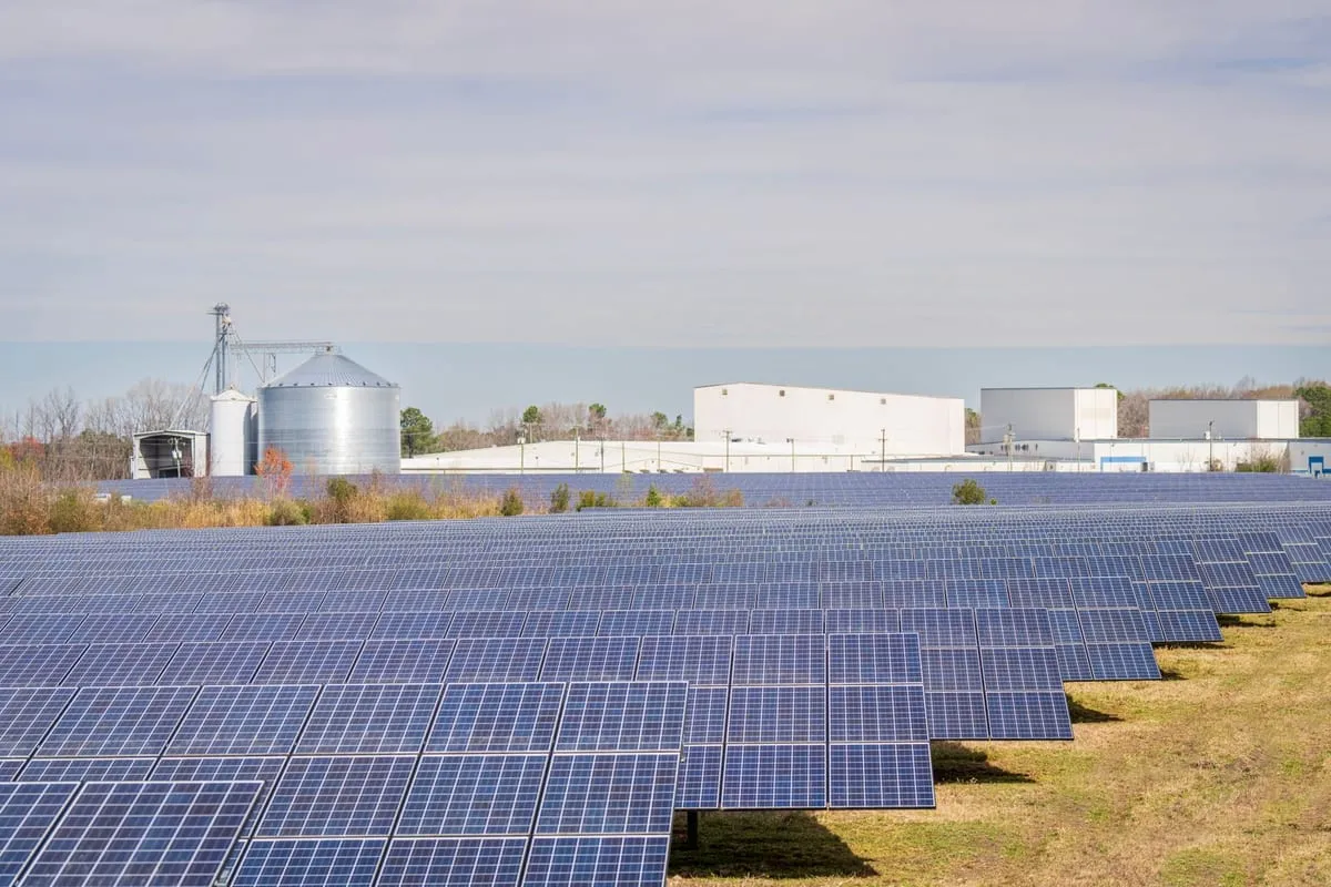 Arreglo de paneles solares instalado sobre el terreno en una zona rural